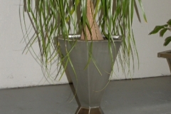 planter1-4